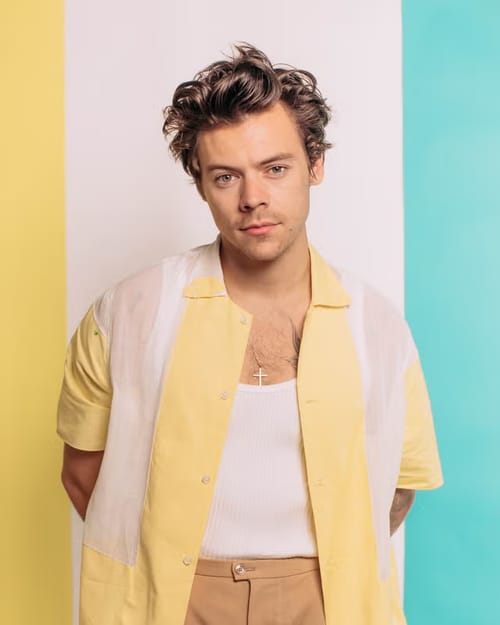Harry Styles